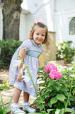Multicolor Fall Floral Smocked Dress