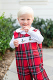 Christmas Geese Smocked Norman Longall