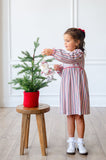 Holiday Stripes Pima Cotton Libby Dress