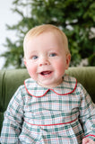 Holiday Golden Fields Plaid Alexander Bubble